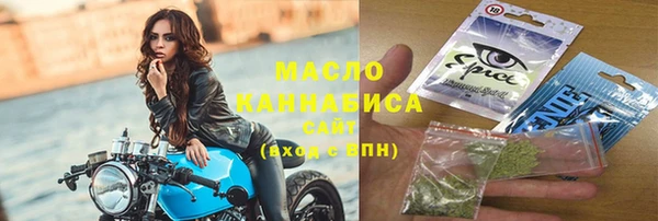 крисы Бородино