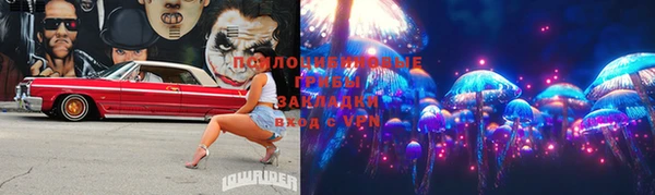 бошки Верея