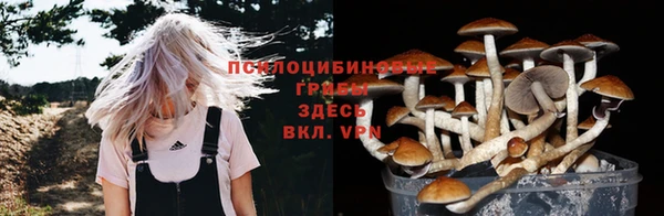 a pvp Магадан